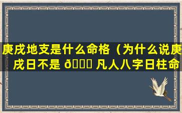庚戌地支是什么命格（为什么说庚戌日不是 💐 凡人八字日柱命 🐬 运解析）